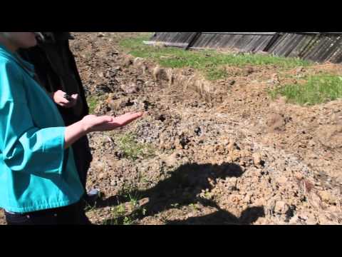 YouTube &ETH;&cent;&Ntilde;&ETH;&micro;&ETH;&sup1;&ETH;&raquo;&ETH;&micro;&Ntilde;