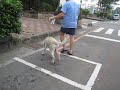 Pula~2009.12.24-1