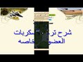 شرح تركيب سكربات العضويه الخاصه في حرب قبائل-tribalwars.ae