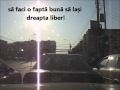 Vezi