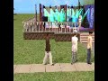 The Sims 2 Nattliv