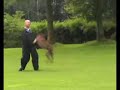 Keuring politiehond Arras eig Bert Luyken 2007