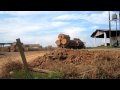 Rainforest Logs on a truck - a common site in Brazil