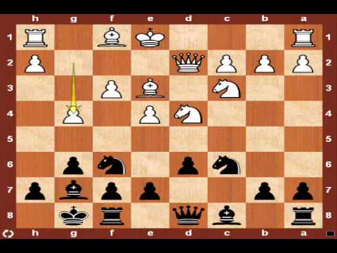 chess chess