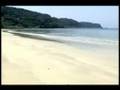 彩ＷＡＫＡＹＡＭＡ(1/3)