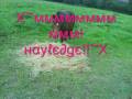 videos de ●ιℓу● twinkie.wmv