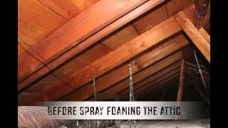<h5>PAZMINO'S TESTIMONIAL</h5><p>"Sunlight Contractors changed the way I live. Not just with my living conditions but with my monthly utility bill. I'm saving about a $100 a month. I love how i have more money in my pocket. Thanks Sunlight Contractors"</p>