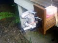 OS MAX 50 ENGINE MODIFIED BY DR TUNE!