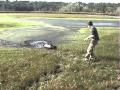 Deer Rescue at Camp Weed & Cerveny Conf. Center- The Episcopal Diocese of Florida