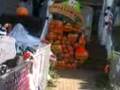 videos de halloween house at day