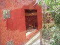 www.survivalistboards.com Part of my long term SHTF survival plans include getting chickens and building a chicken coop.