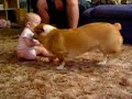baby meets puppy