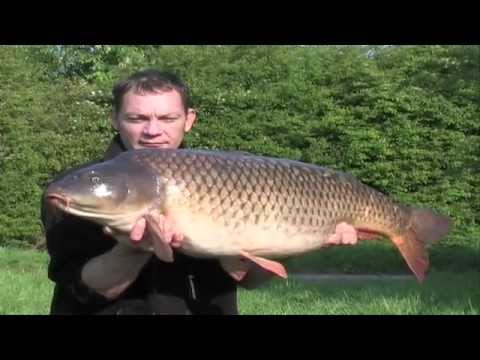 XL Carp Video