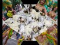 Drumm Boys-- Ritmo De Locos (( Carnavale Des Locos ))