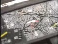 Kawasaki AR 125 ?ó?te w 2002 roku Kawasaki AR 125 ?ó?te w 2002 roku