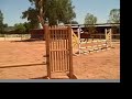 My horse Alvin My horse Alvin