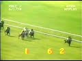 John Henry - 1978 Wins 1st Grass Race John Henry - 1978 Wins 1st Grass Race