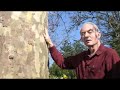 [Guardian] British insurance companies force tree felling