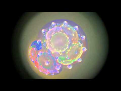Solfeggio Frontal Lobe Entrainment NOT Hemisync but Hemispheric synchronization