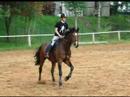 Loriot and me