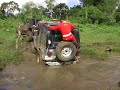 lodito en chiapas 5