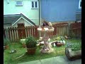 Pete - The Magpie