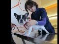 Click para Ver : Equipo médico del hospital veterinario Buenavista
