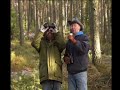 Neurovisio-Todella ihmeellinen luonto