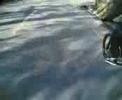 Bike Trip