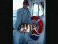 sargo veado record IGFA João Pardal