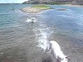 nueva-isla.html