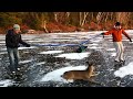 Deer Rescue on Black Sturgeon Lake, Kenora, Ontario