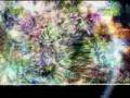 GEOMETRY WARS