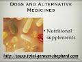 Alternative veterinary medicines - Alternative Pet Medicines