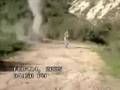 ufo crash in woods