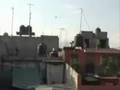 Roofball
