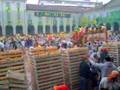 Carnavales Ivrea - Batalla de las Naranjas