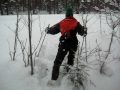 Skidåkning
