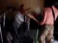 Ancora Avispado in sala prou (2004)
