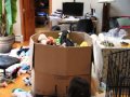 Happiness is a Cardboard Box