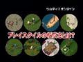 ウルティマ オンライン