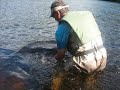Big Atlantic Salmon on Tube Dry Flies in Newfoundland