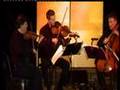 Turtle Island String Quartet LIVE!!!! Pt3