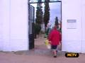 videos de sants, flors i panellets