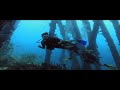 Bonaire Teaser