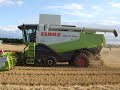 Harvest 2007.... Harvest 2007....