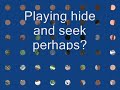 Rabbit hide and seek?
