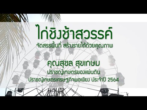 ไก่ชิงช้าสวรรค์ จัดสรรพื้นที่ สร้างรายได้ด้วยคุณภาพ