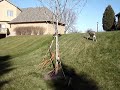 In Plymouth, MN