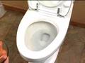Reo Toilet